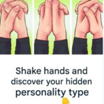 Successful Ways Of Reusing Tuna cans. Try Not To Discard Them