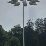 9 Crops You Can Grow in Buckets All Year Round: Ultimate Guide to Container Gardening Success