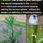 Put A Glass of Water With Salt and Vinegar in Any Part of Your House – After 24 Hours, You’ll Be Pleasantly Surprised!