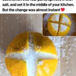 I Always Thought Marigolds Were Just There to Add Color to the Garden… Until I Planted Them Between My Vegetables