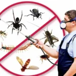 How to Prevent Pests from Attacking Your Garden: A Guide to Natural Methods