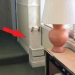 Why You Should Put a Peppermint Plant in Your Entryway