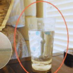 A single ingredient to combat bone pain, diabetes, anxiety, depression, and constipation!