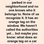 What can your legs reveal about your health?