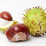 The first thing you see in this picture reveals a lot about your personality