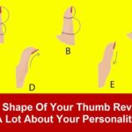 Potato and Minced Meat Casserole Recipe