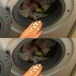 If You Spot A Tree Painted White, Here’s What It Means