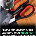 You never knew until you saw this