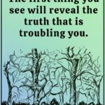 Why do dogs often chase strangers?