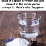 Only People With ‘Eagle Eyes’ Can Spot The Hidden Car In This Photo Of A Forest