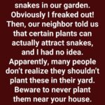 These little treasures of the past that forge imperishable memories