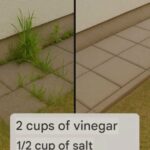 Better Than Fries: Crispy, Delicious, and Effortlessly Easy