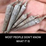 Better Than Fries: Crispy, Delicious, and Effortlessly Easy