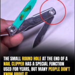 Natural herbicide: 50 cents is enough to say goodbye to all weeds