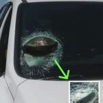 The Small Round Hole on Nail Clippers: The Hidden Secret You Never Knew