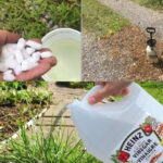 The Small Round Hole on Nail Clippers: The Hidden Secret You Never Knew