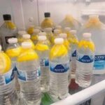 US state will demand teachers take a Trump ‘loyalty test’ in controversial new requirement