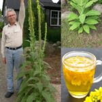 I Thought It Was Just a Rope in the Grass — Then I Looked Closer…