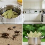 I Found These At My Grandma’s House And Have No Idea What They Are