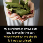 A basket of bright red strawberries, an expected treat – but it held a terrifying discovery