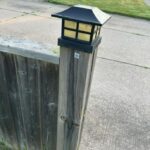 Tomato Extract: Better And Safer Blood Thinner Than Aspirin