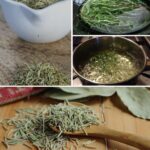 Why You Should Put a Peppermint Plant in Your Entryway