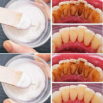 Gâteau de coton au lait concentré