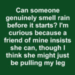 MILK BRIOCHE – Best Fluffy like cloud and super soft