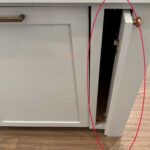 A Plate That Slipped Through: The Viral Case