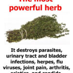 Foods You Should Never Wash Before Cooking — And Why