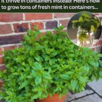 13 Soup Recipes To Make In The Slow Cooker This Winter