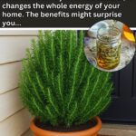 Why Your Towels Get Orange Stains That Won’t Wash Out