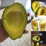 Benefits and Properties of Tomato Juice: A Nutritional Treasure For Your Health