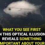 What To Do In The Event Of Seeing Square Waves In The Ocean