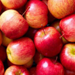 Succession : mes enfants m’ont tourné le dos, puis-je les exclure de mon héritage ?