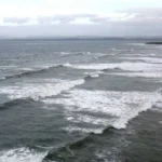 What You See First Reveals Something Important About Your Personality: The Cloud or the Fish Optical Illusion