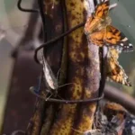 It Makes No Sense… Until It Does