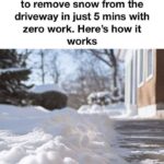 The Amazing Health Benefits of Beets: A Nutrient-Rich Superfood