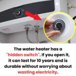 10 Foods With More Protein Than Eggs