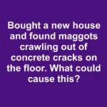 Why Your Coffee Bag Has a Tiny Hole